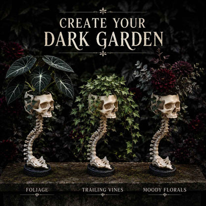 💥 Flash Sale 50% OFF 💀 Skull Planter 🪴 Bold Decor for Plant Lovers