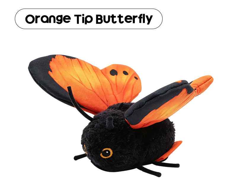 Orange Tip Butterfly
