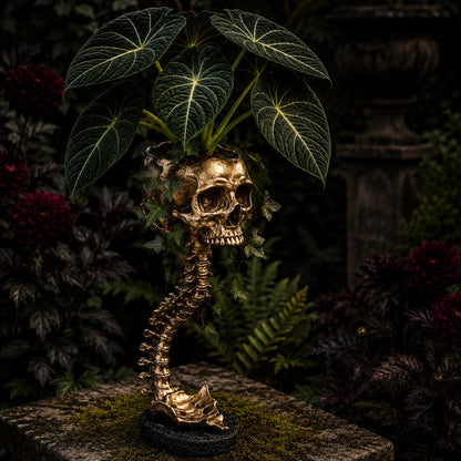 💥 Flash Sale 50% OFF 💀 Skull Planter 🪴 Bold Decor for Plant Lovers