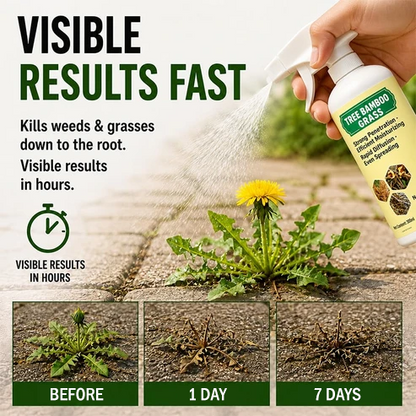 🔥2026 Hot Sale - 🌿Fast-Acting Natural Weed & Grass Killer Spray