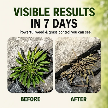 🔥2026 Hot Sale - 🌿Fast-Acting Natural Weed & Grass Killer Spray