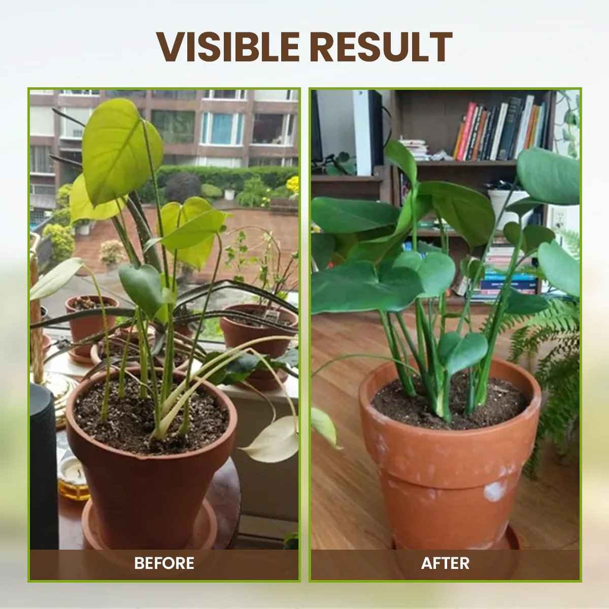 🌳 Soil Pro Activator | 75K+ Sold Plant Growth Formula