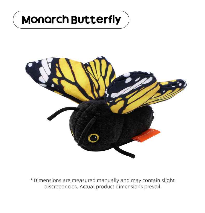 Blue Morpho