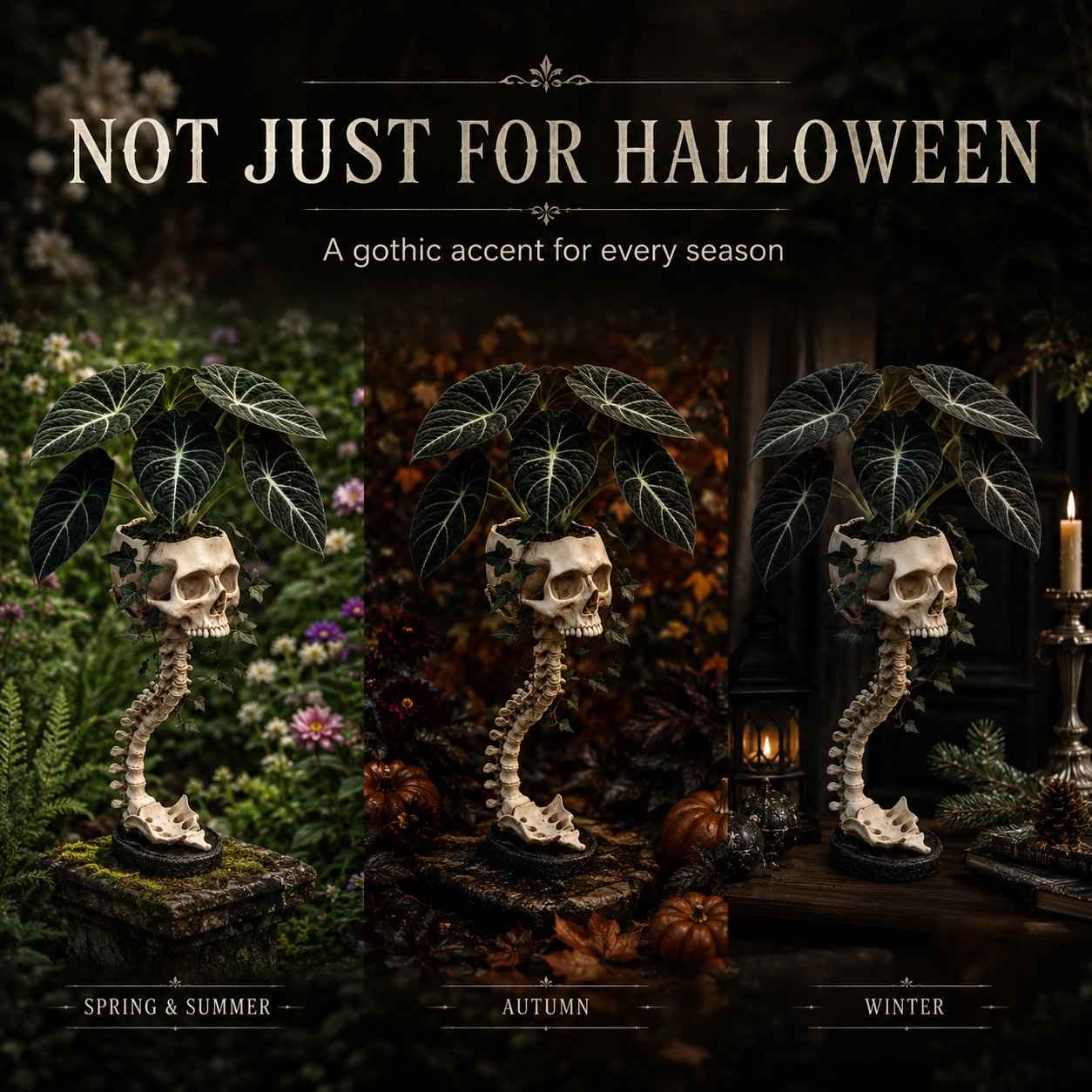 💥 Flash Sale 50% OFF 💀 Skull Planter 🪴 Bold Decor for Plant Lovers
