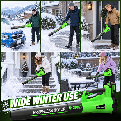 🍂❄️ One Blower, All Seasons! 1200W Cordless Power for Leaves, Heavy Snow & More ⚡