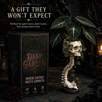 💥 Flash Sale 50% OFF 💀 Skull Planter 🪴 Bold Decor for Plant Lovers