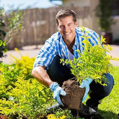 🌳 Soil Pro Activator | 75K+ Sold Plant Growth Formula